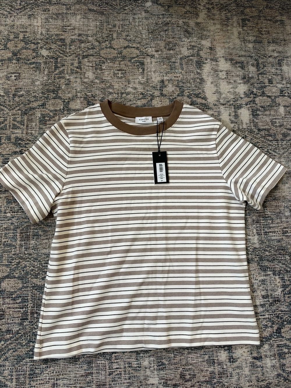 Aritzia Babaton Interlock Function T-shirt